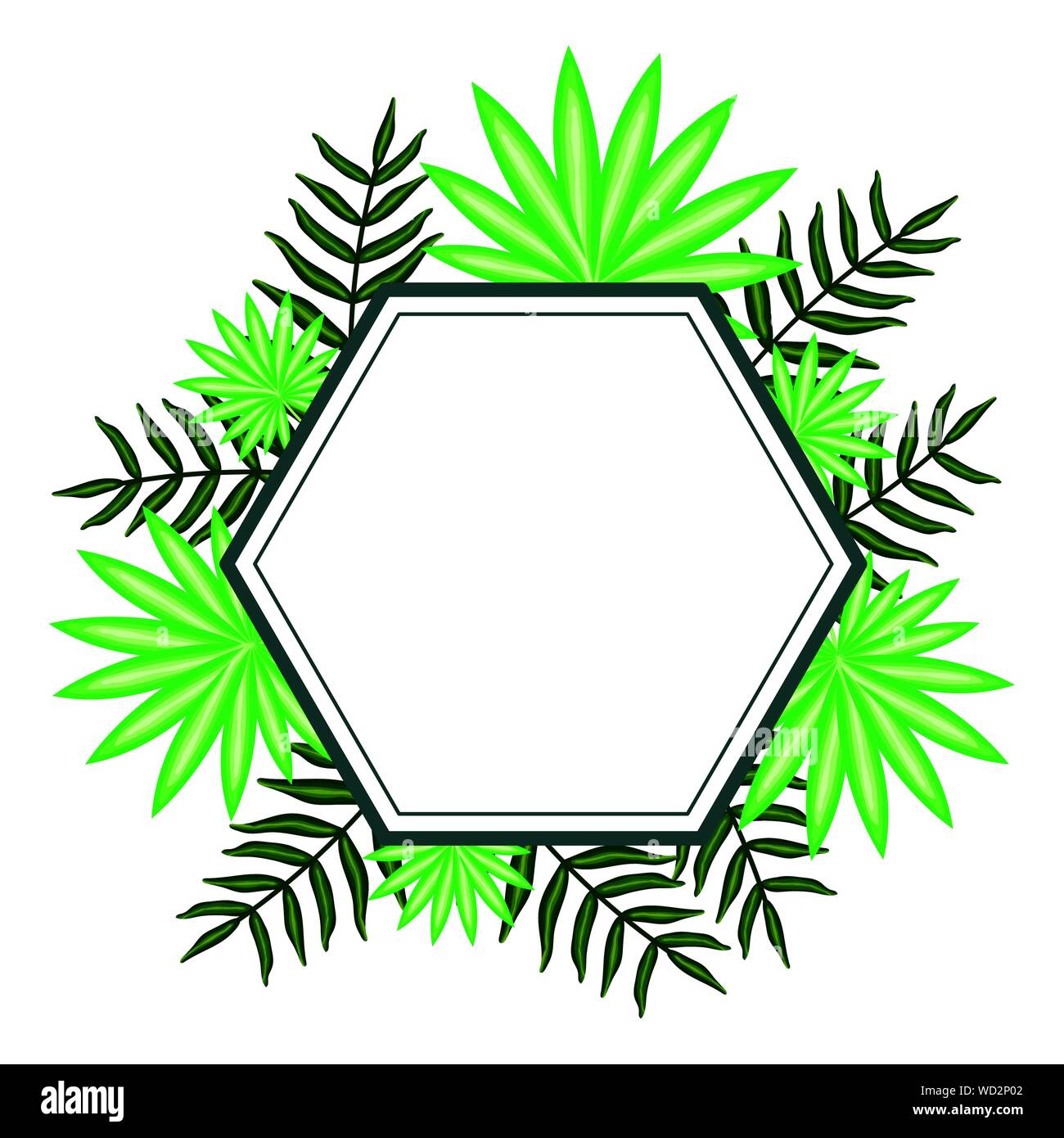 exotic and tropical leafs plants diamond frame vector illustration ...