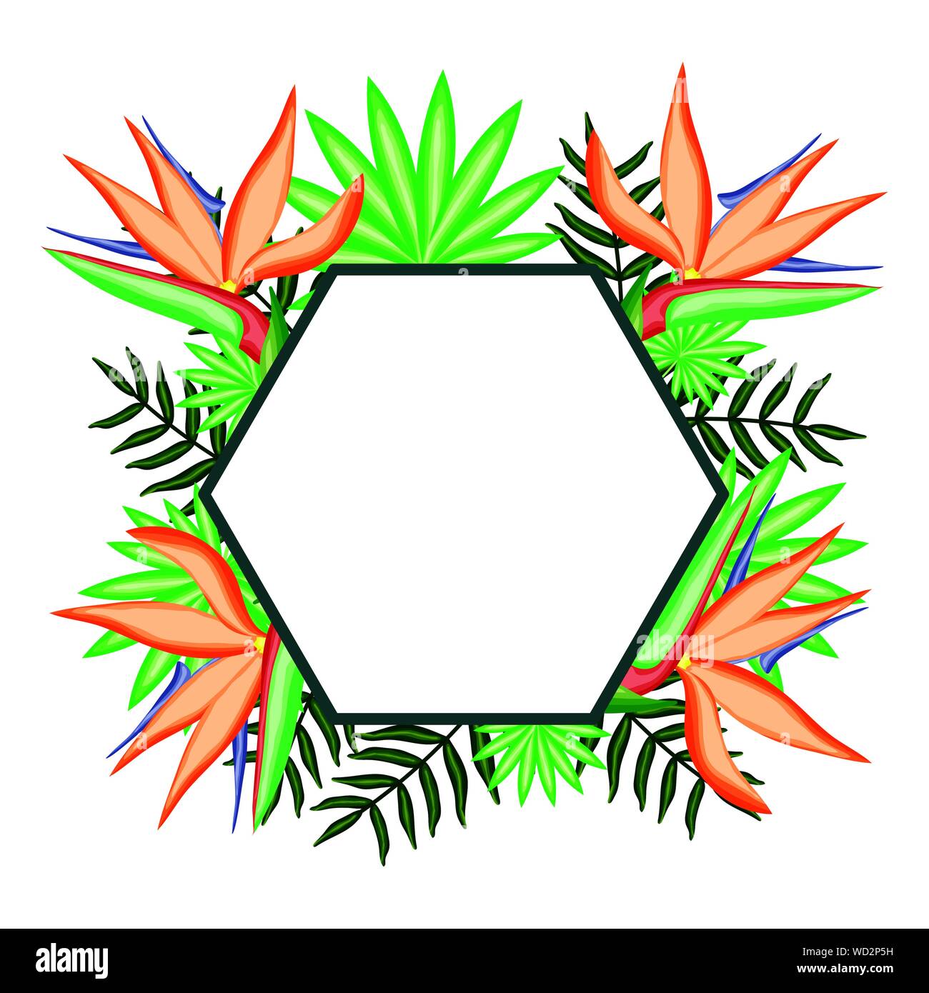 tropical beauty heliconia with leafs exotic diamond frame vector ...