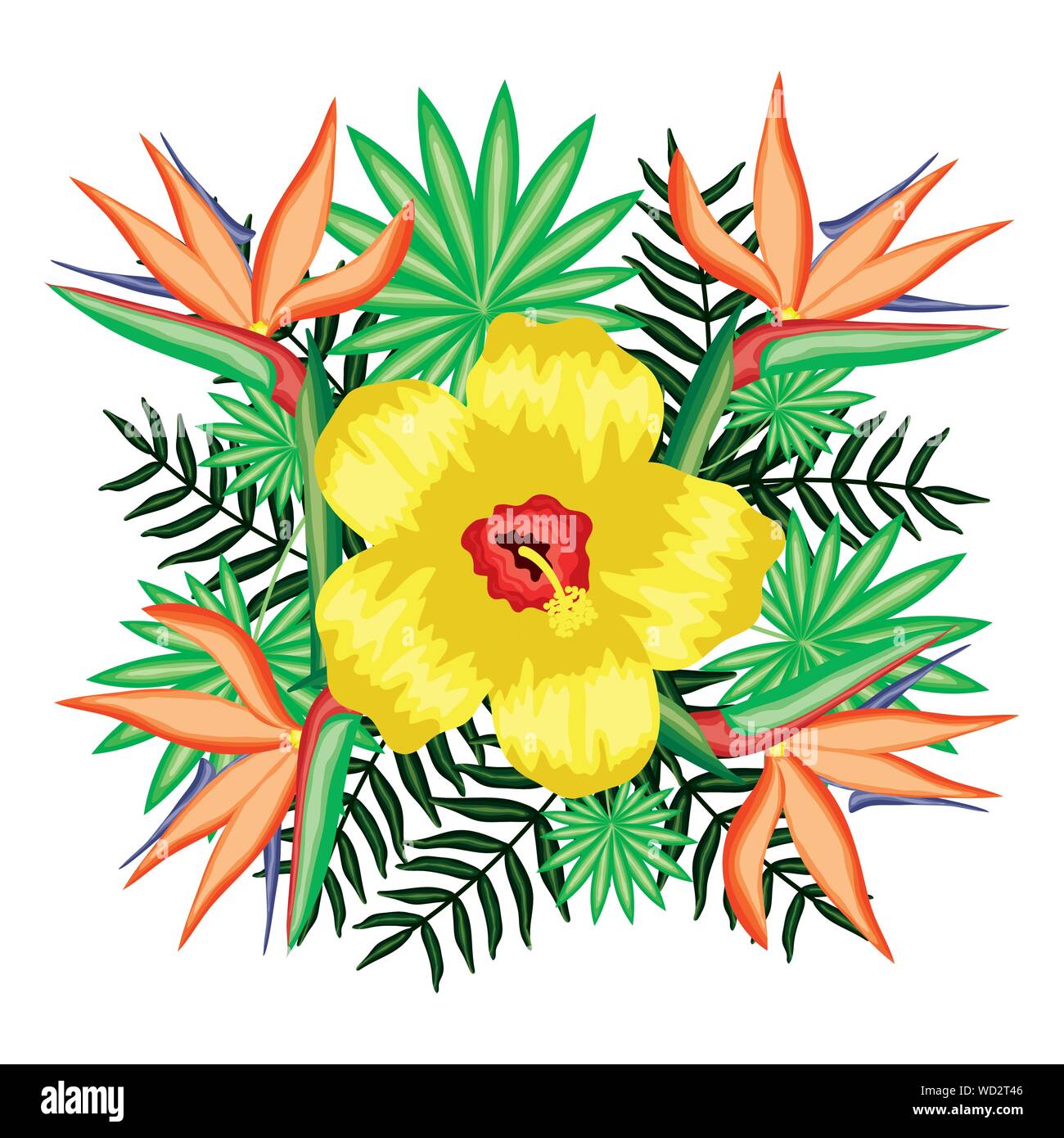 tropical flower garden with leafs and heliconia vector illustration ...