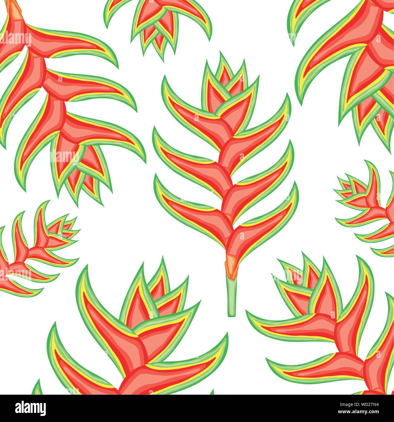 tropical beauty heliconias exotic plants pattern vector illustration ...