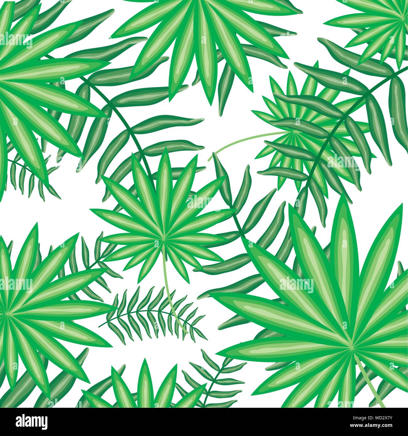 exotic and tropical leafs plants pattern vector illustration design ...