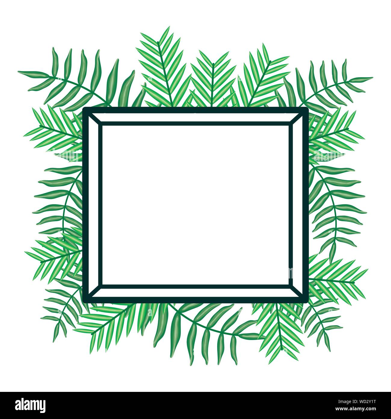 exotic and tropical leafs plants square frame vector illustration ...