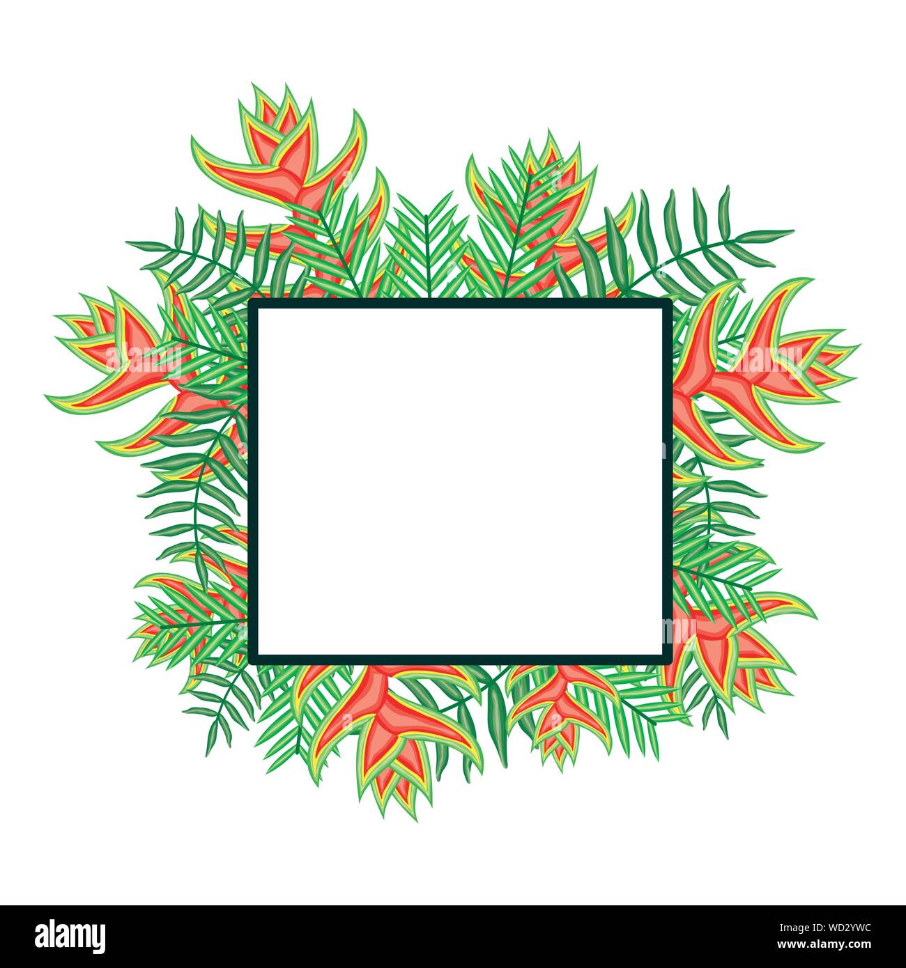 exotic and tropical flower with leafs square frame vector illustration ...