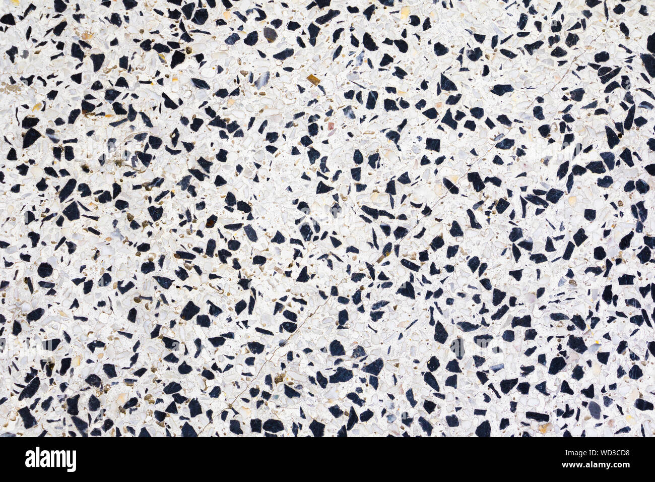 Terrazzo Flooring Texture Polished Stone Pattern Wall And Color