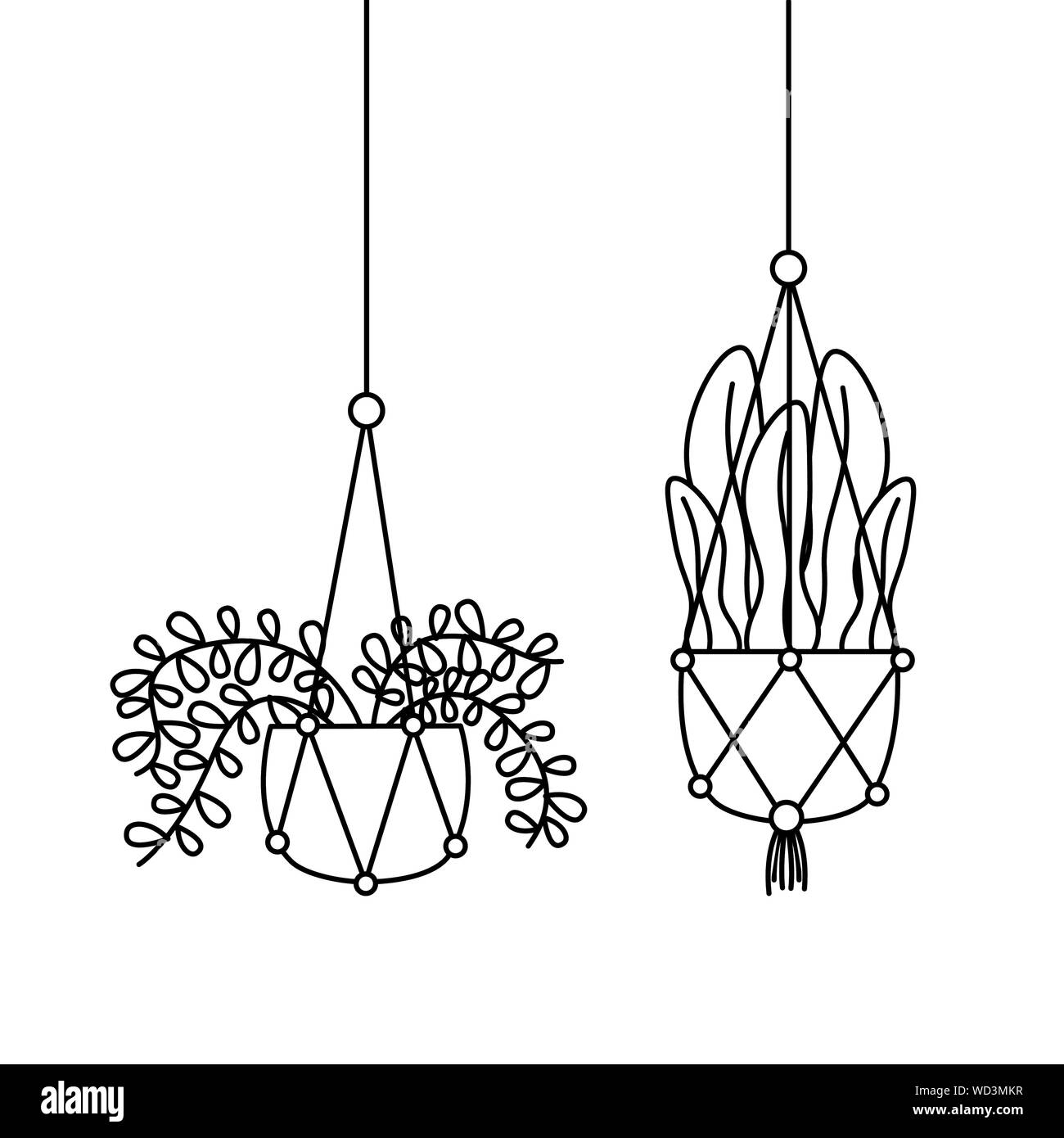Hanging Plants Inside Pots Vector Design Stock Vector Art