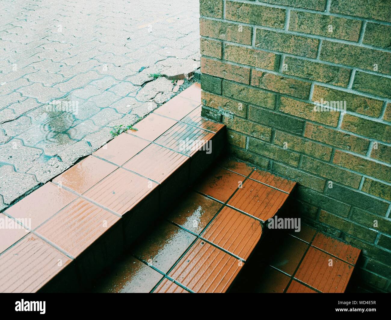 Wet brick sidewalk hi-res stock photography and images - Alamy