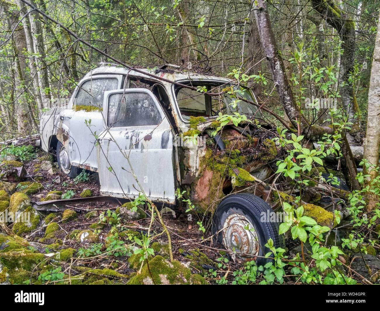 Abandoned car in forest hi-res stock photography and images - Alamy