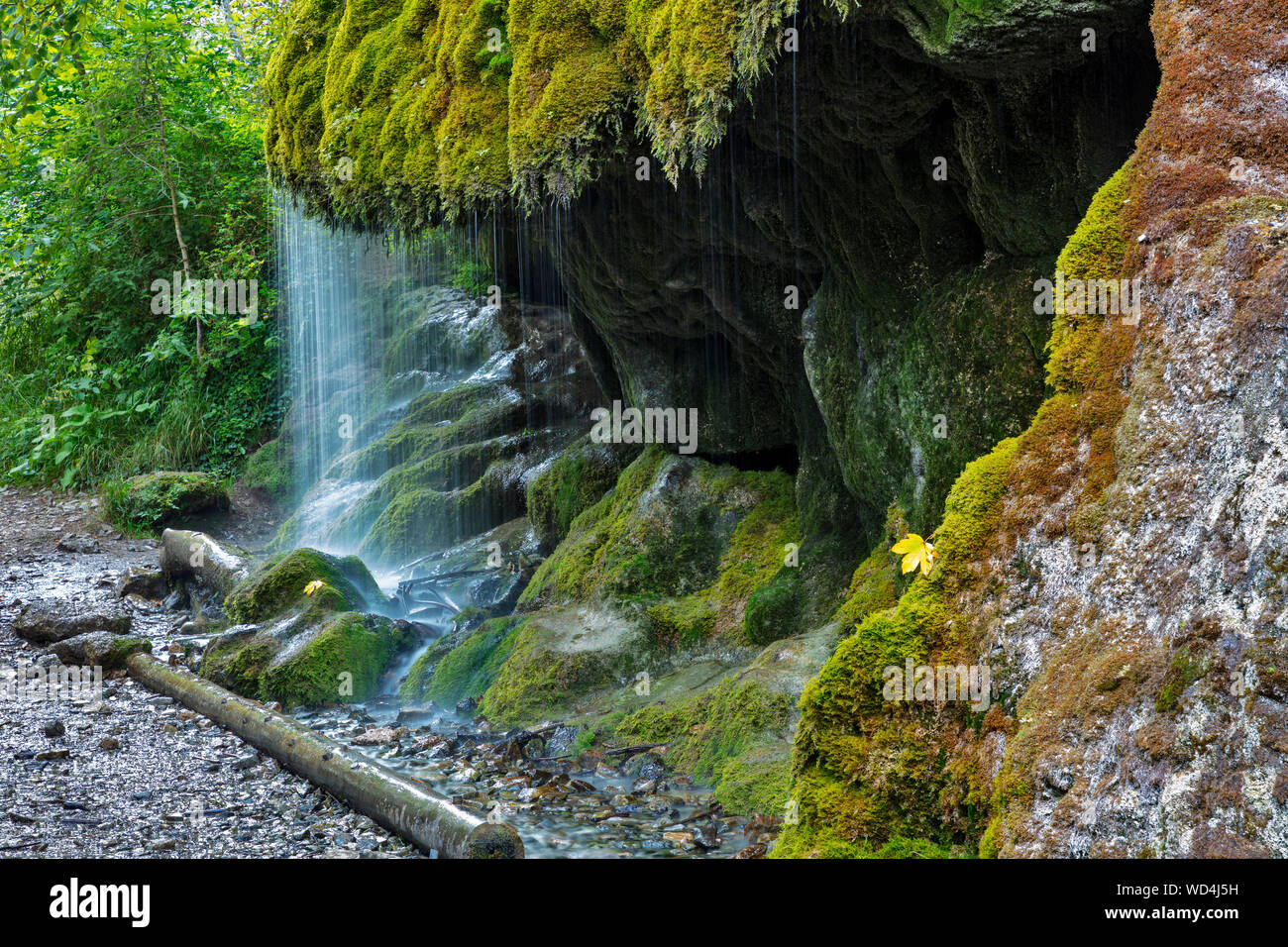 moss-covered waterfall Wutachschlucht gorge, Black Forest, Baden-Württemberg, Germany, Stock Photo