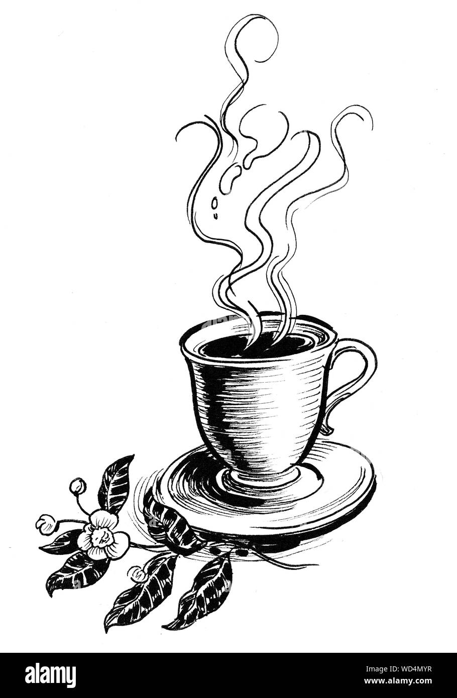 Cup Of Tea And Tea Plant Ink Black And White Drawing Stock Photo Alamy