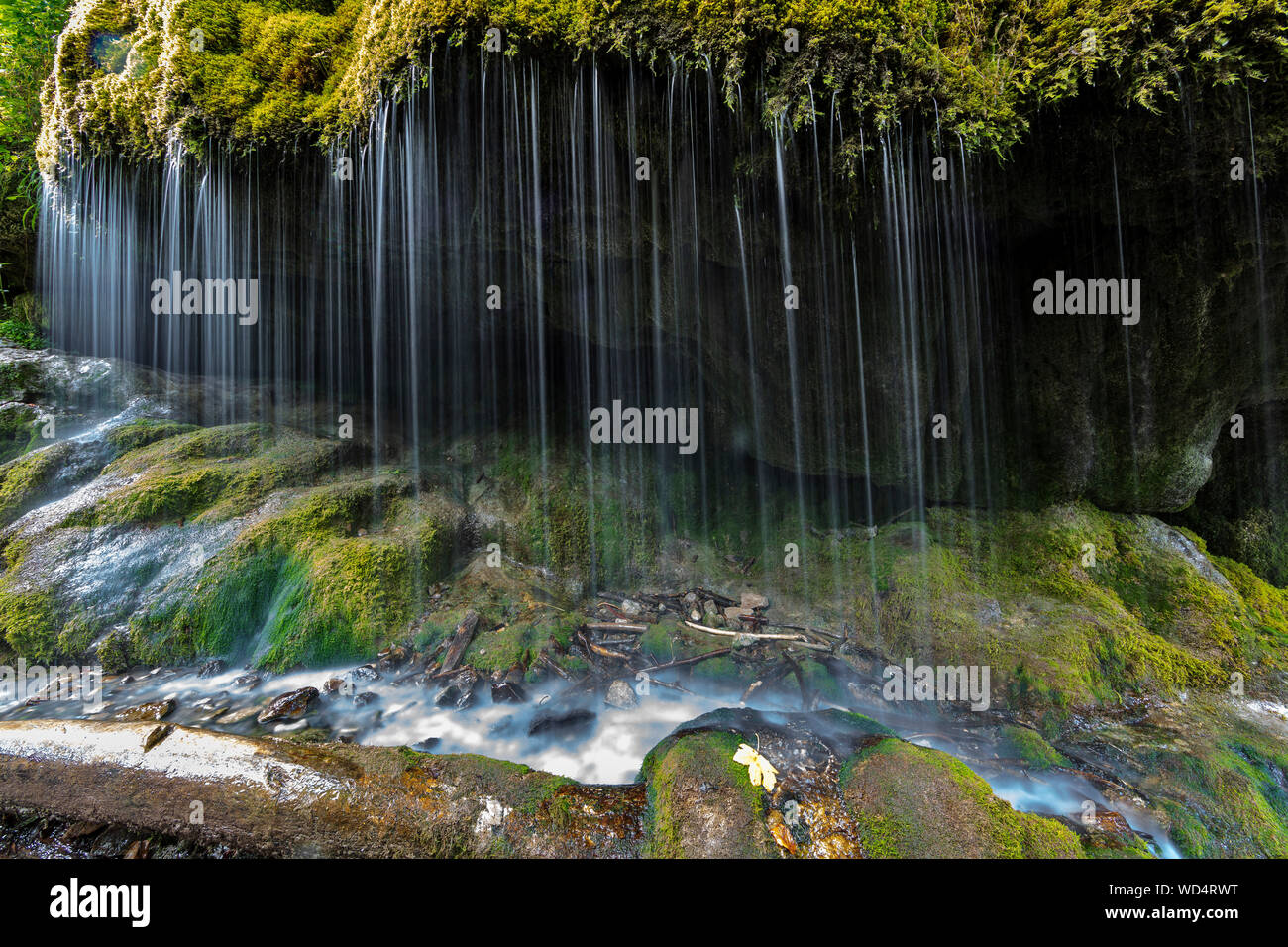 moss-covered waterfall Wutachschlucht gorge, Black Forest, Baden-Württemberg, Germany, Stock Photo