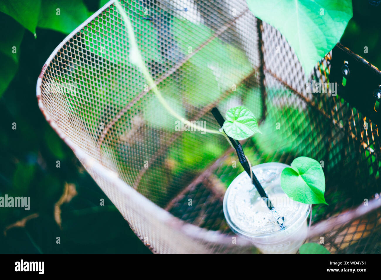 View Of Plastic Glass With Straw And Creeper Plant Stock Photo