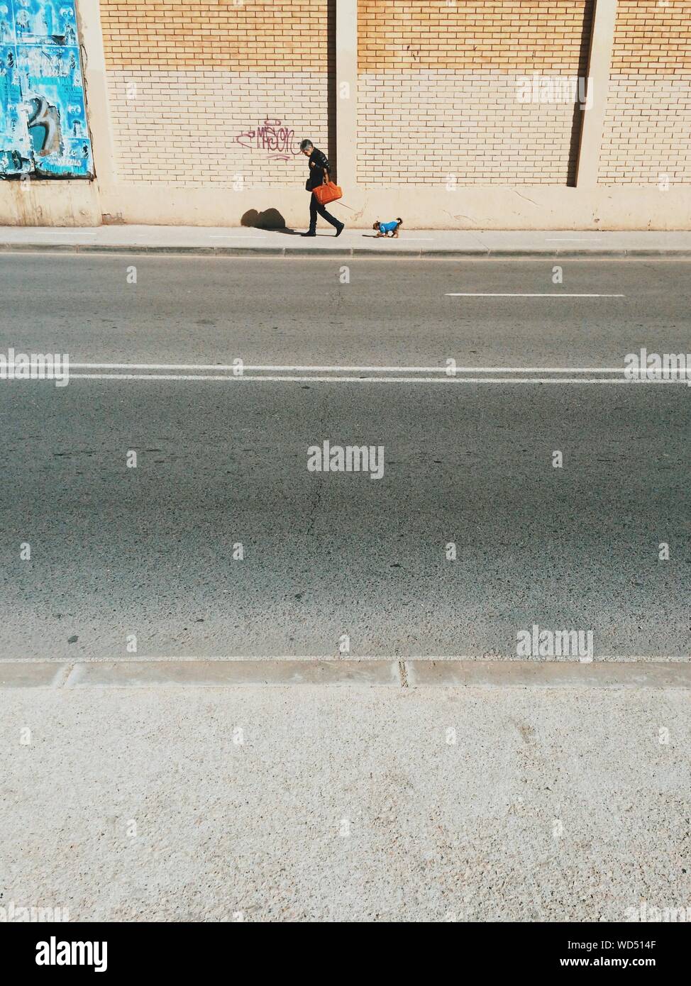 Dog pulling leash hires stock photography and images Alamy