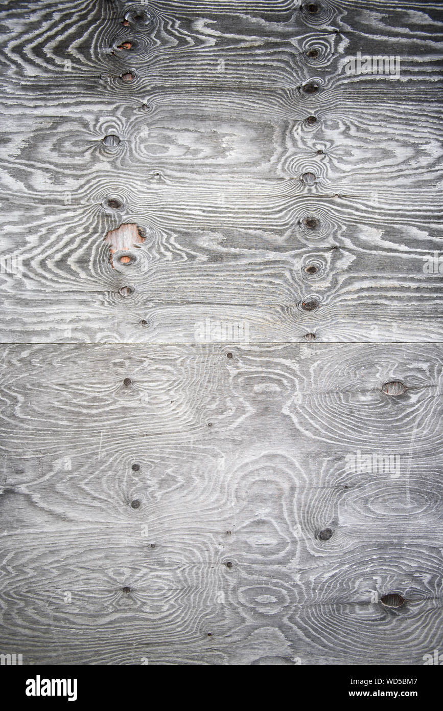 Background image. Abstract graphic high-contrast the texture of the wood with psychedelic stains-patterns. Stock Photo