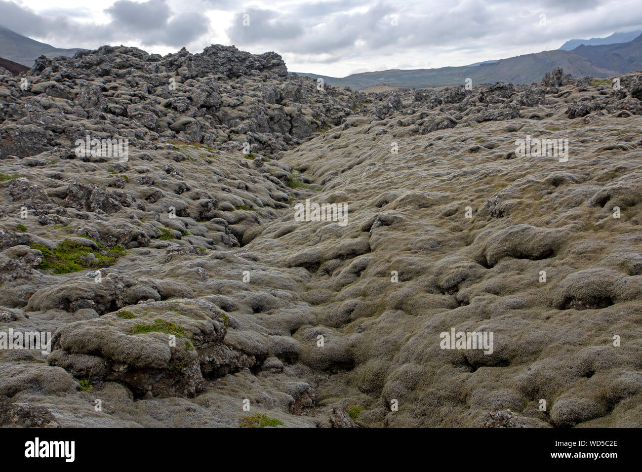 Berserker lava field (Berserkjahraun) on Snaefellsnes Peninsula Stock Photo