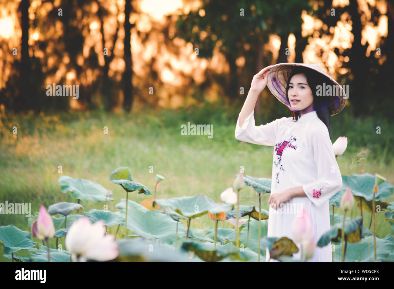 Beautiful Woman Wearing Conical Hat Standing Amidst Lotus Buds Stock Photo