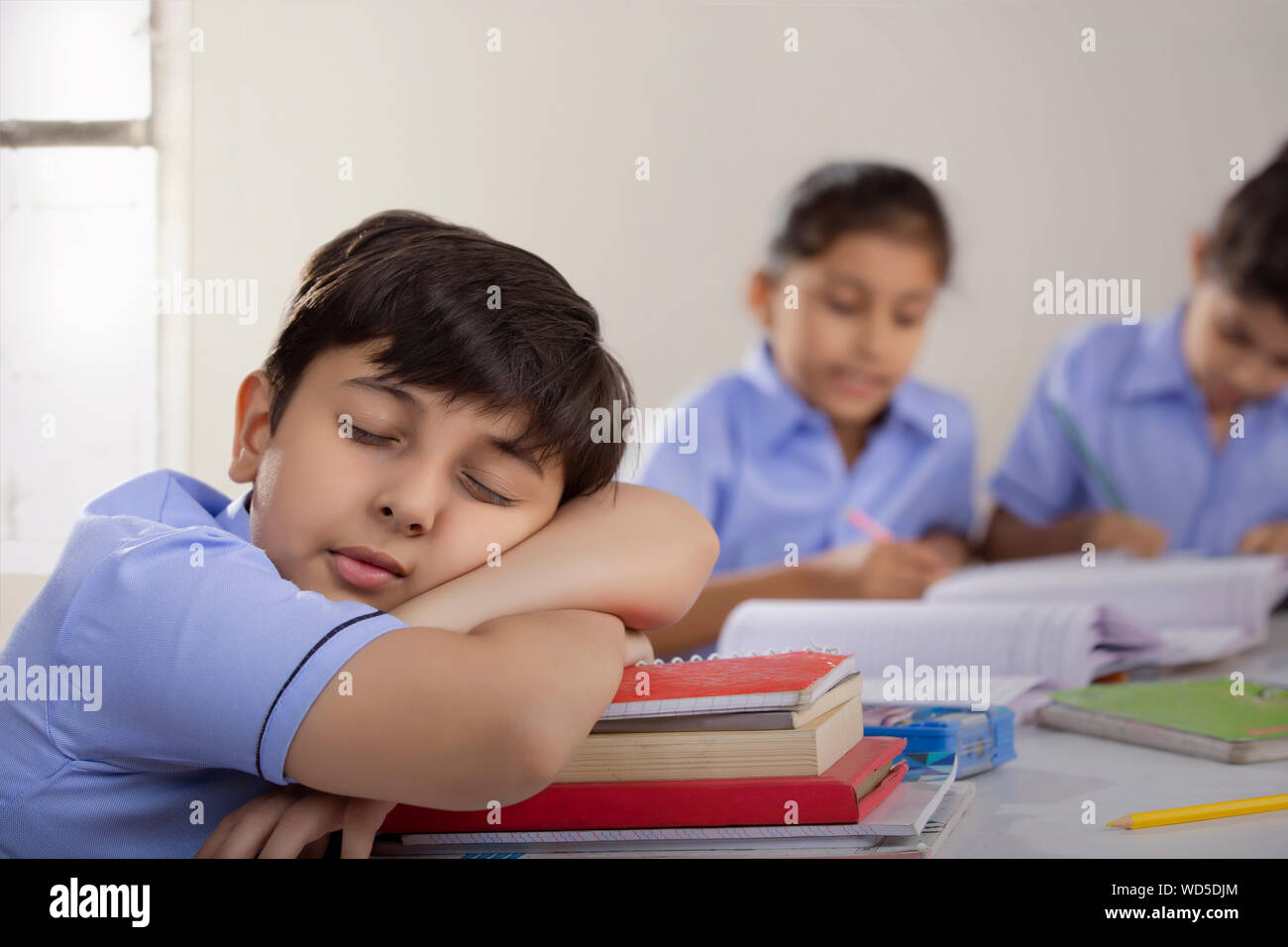 school boy sleeping in class Stock Photo
