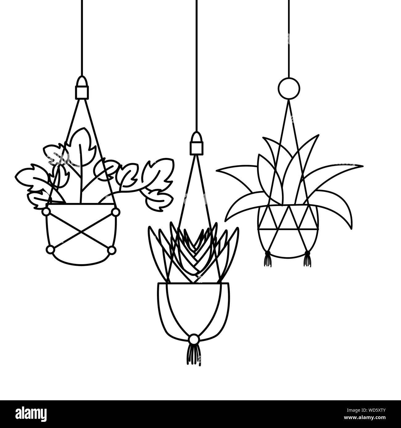 Hanging plants inside pots vector design Stock Vector Image & Art Alamy