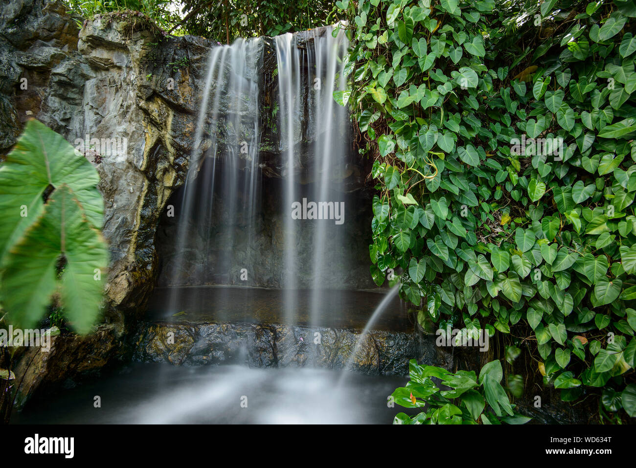 Scenic View Of Waterfall At Singapore Botanic Gardens Stock Photo