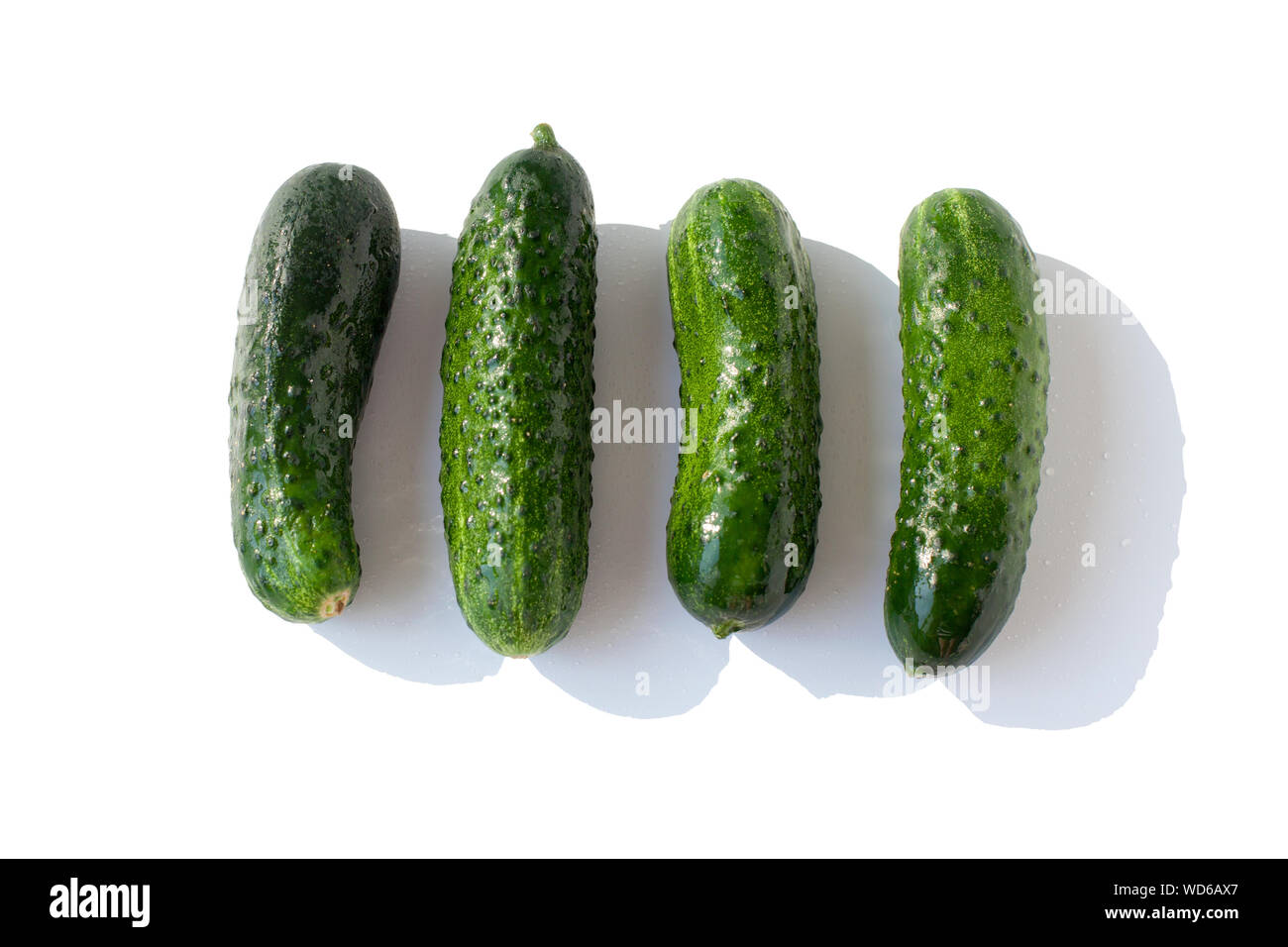 Cucumbers on a white background Stock Photo