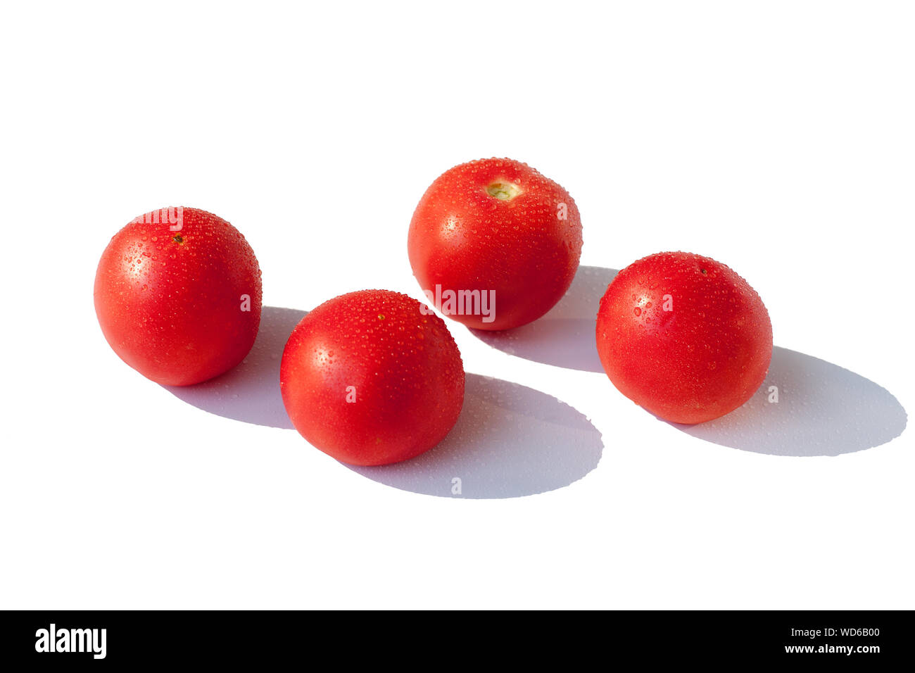 Tomatoes red big fresh in water drops on white background Isolated top ...