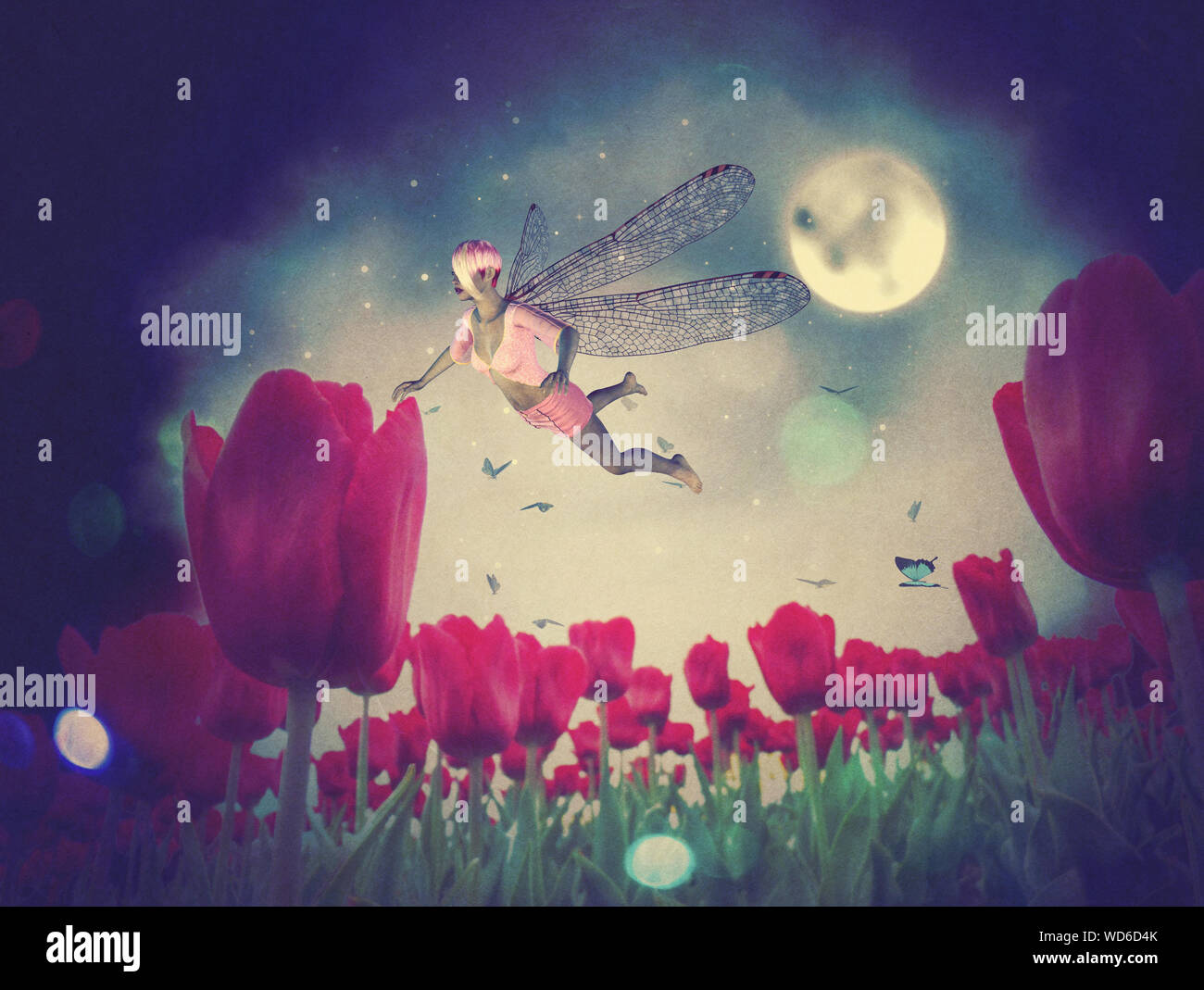 Magical Fairy Land High Resolution Stock Photography And Images Alamy Magical Fairy Land High Resolution Stock Photography And Images Alamy
