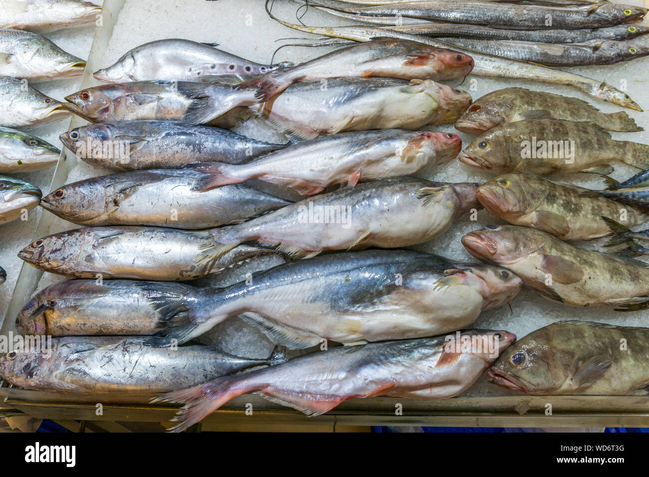 Pile of raw fish for sale at seafood marketplace Stock Photo