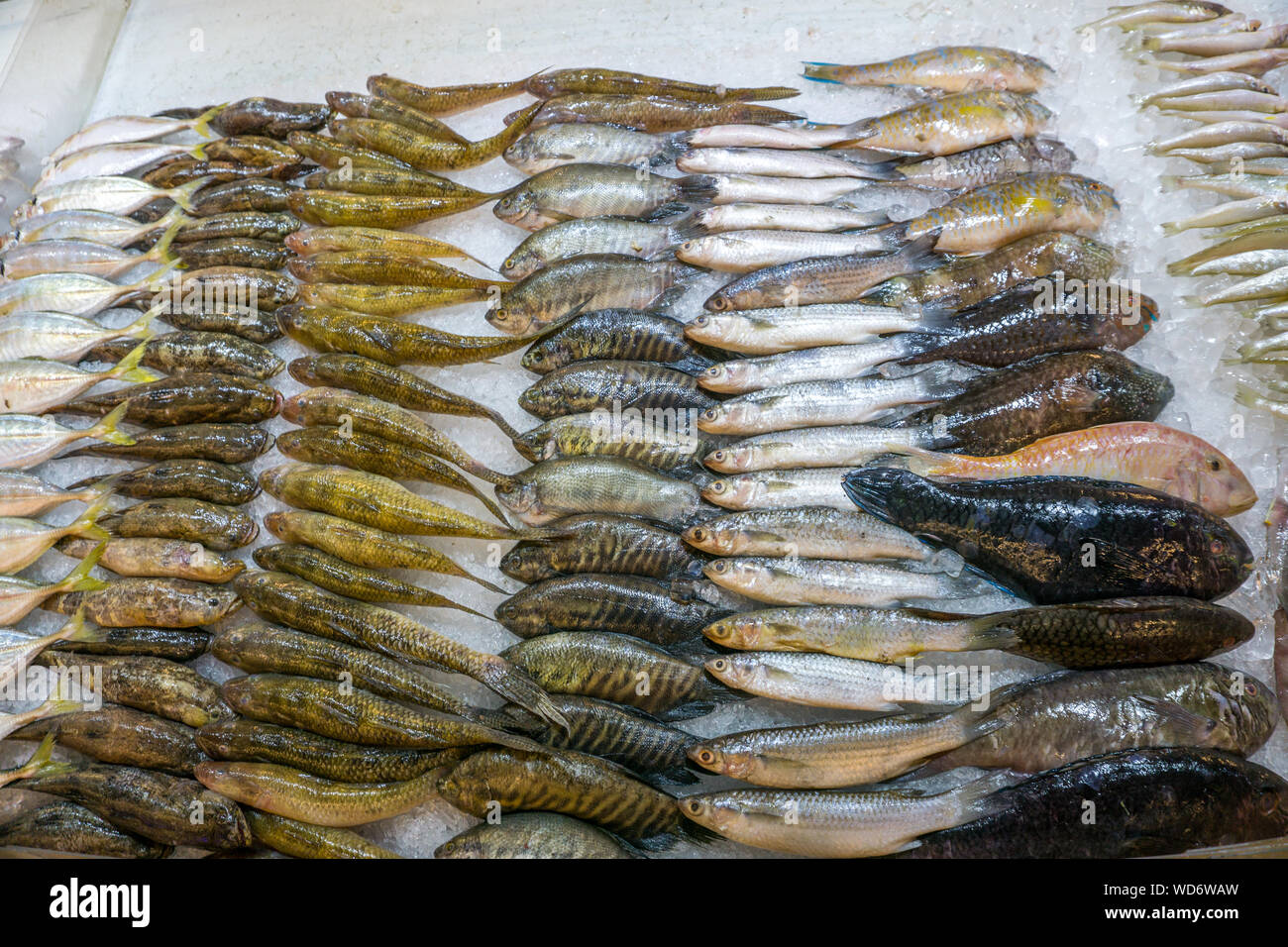 Various kinds of raw fish for sale at seafood stall Stock Photo Alamy