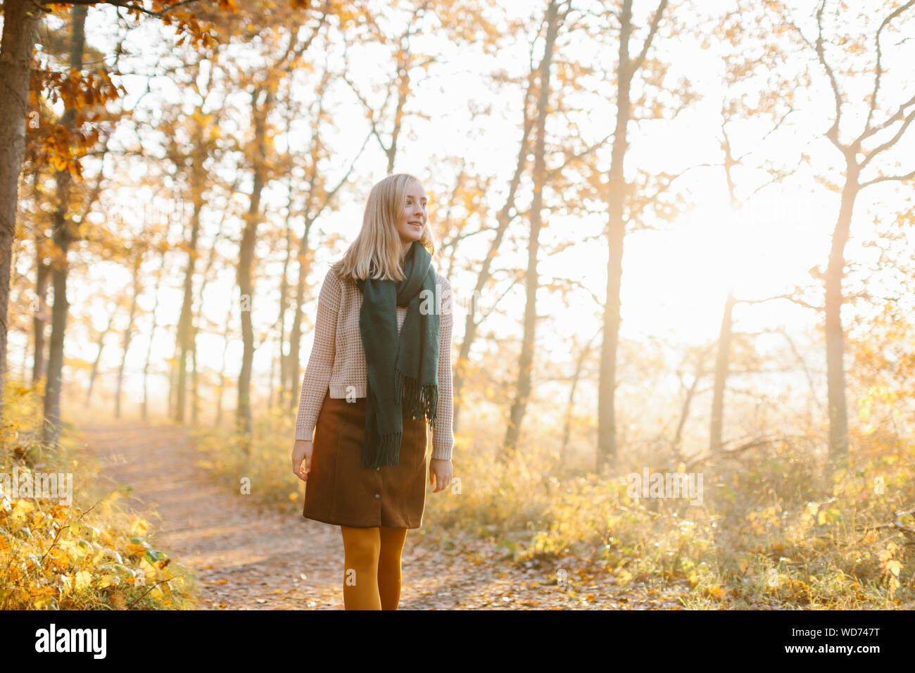 Woman walking in autumnal forest Stock Photo