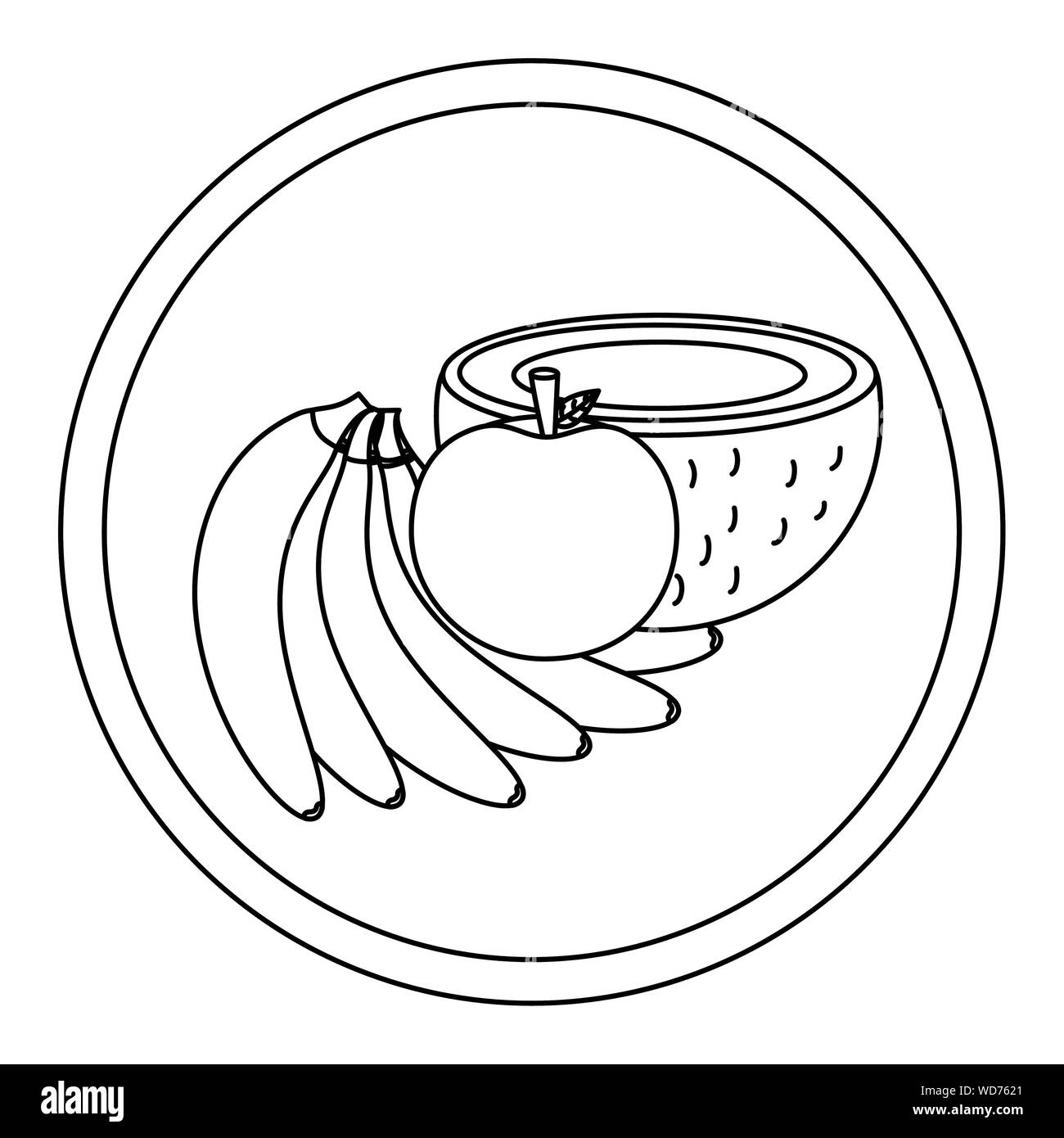 Banana apple and coconut fruit vector design Stock Vector Image & Art ...