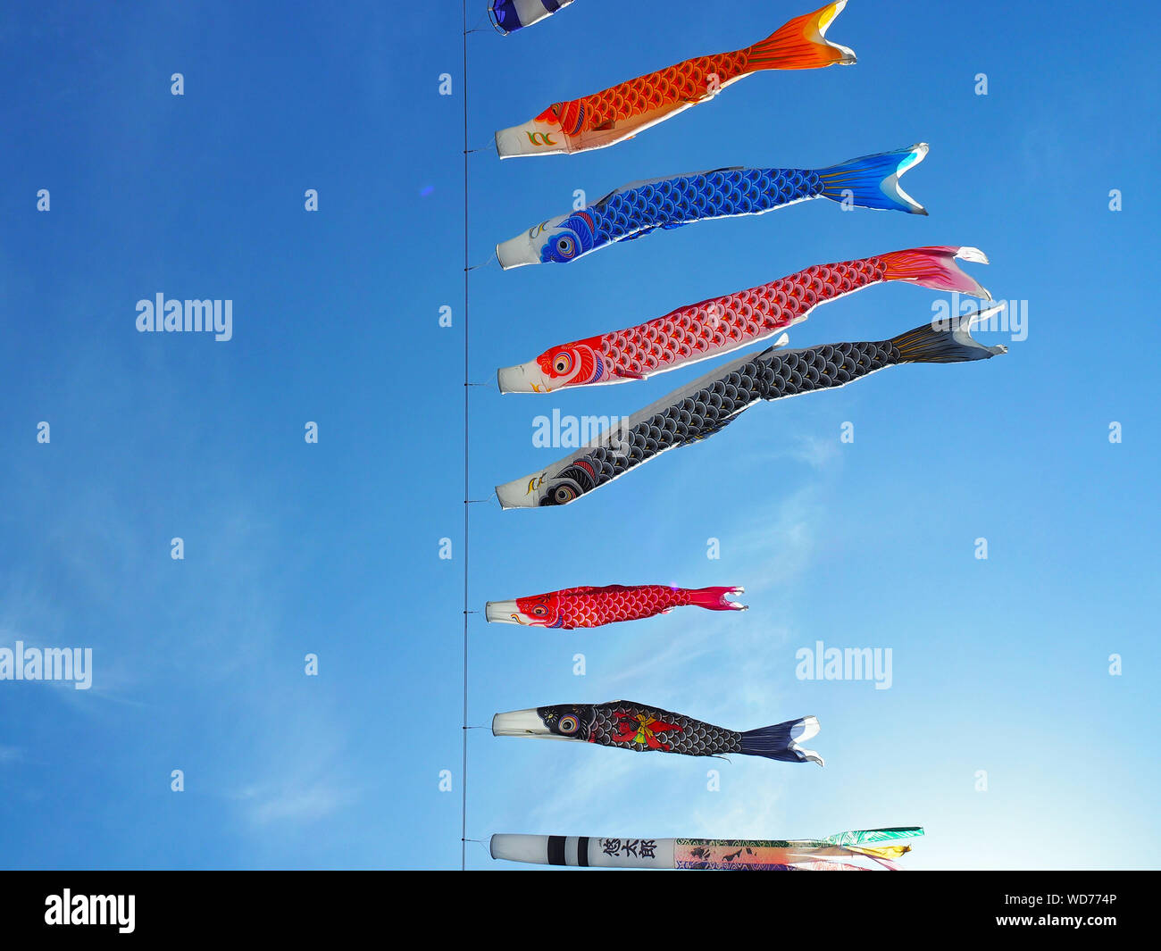 Carp Streamer Blowing In Wind Stock Photo Alamy Carp Streamer Blowing In Wind Stock Photo Alamy