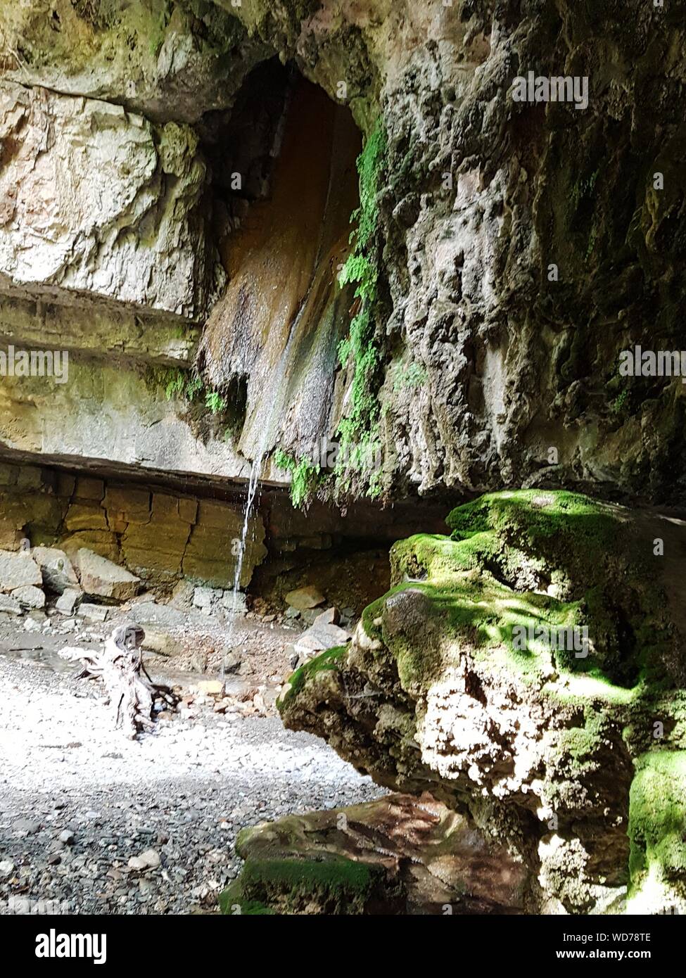 Rock Formations In Cave Stock Photo Alamy   Rock Formations In Cave WD78TE 