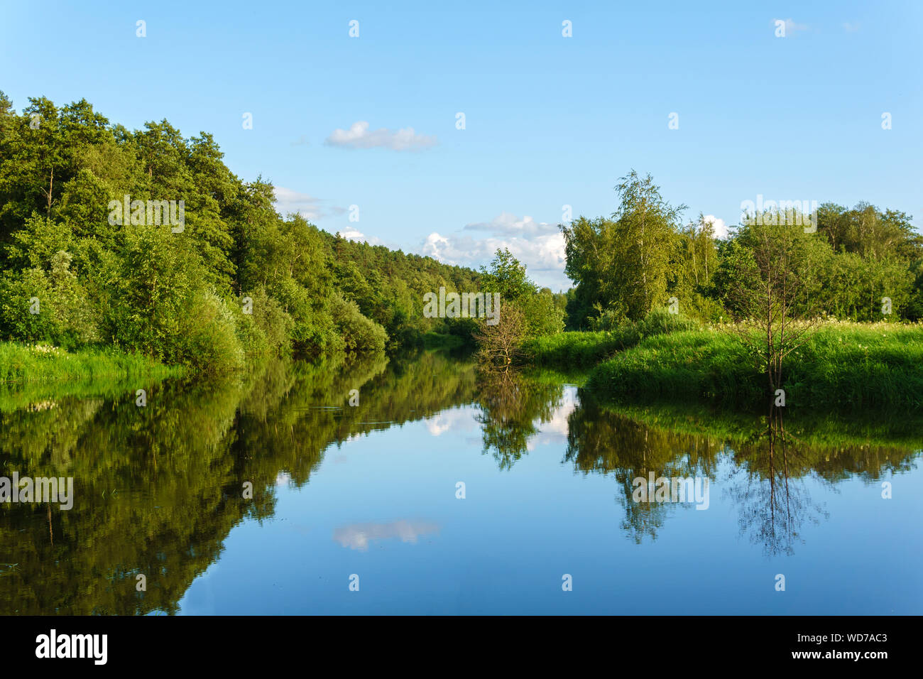 summer landscape of a calm oxbow lake in floodplain with wooded shores Stock Photo