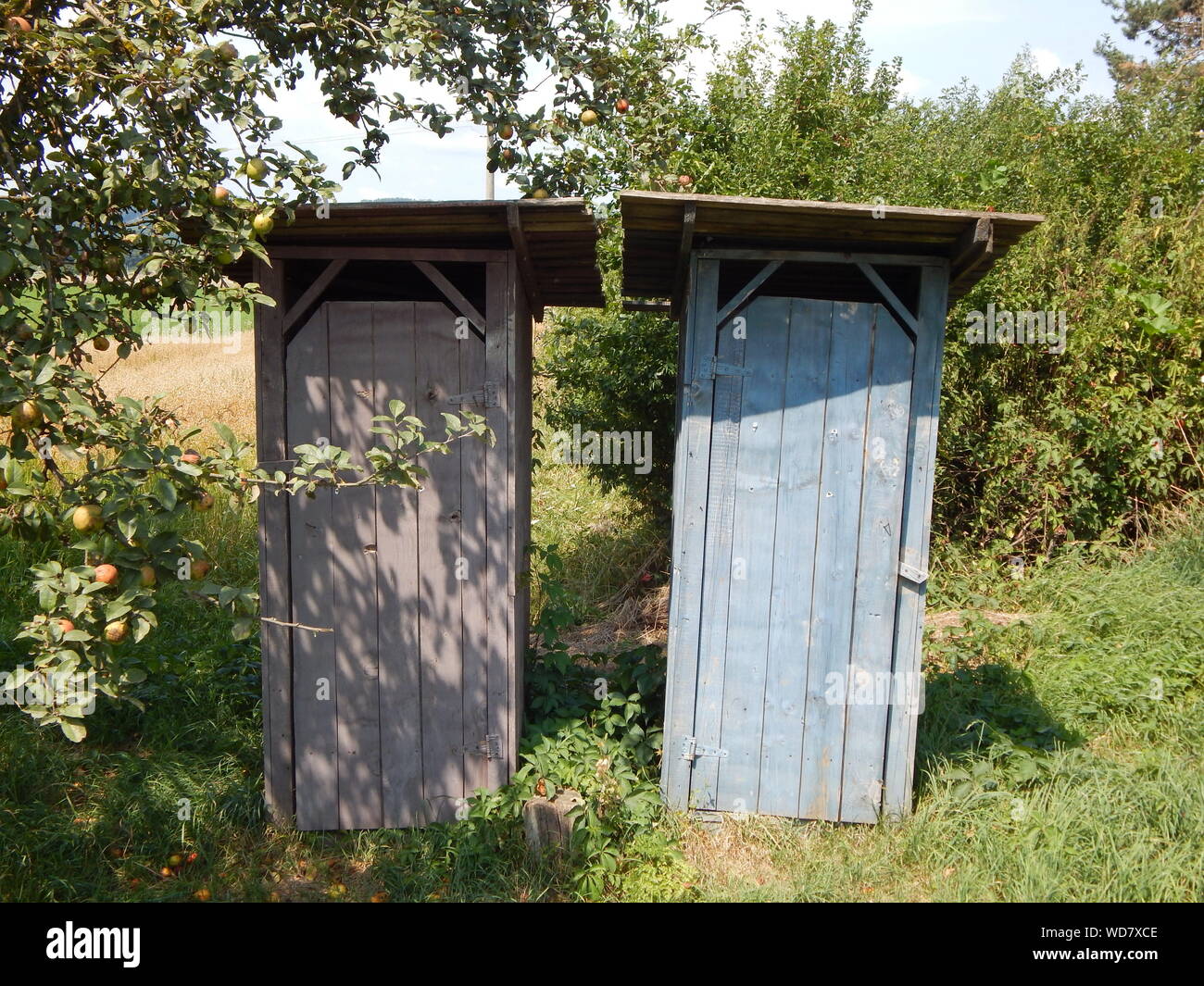 Built Structure On Field Against Trees Stock Photo