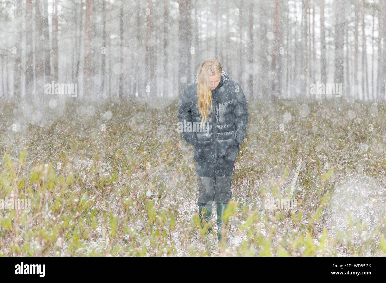 Walking through snowy forest hi-res stock photography and images - Alamy