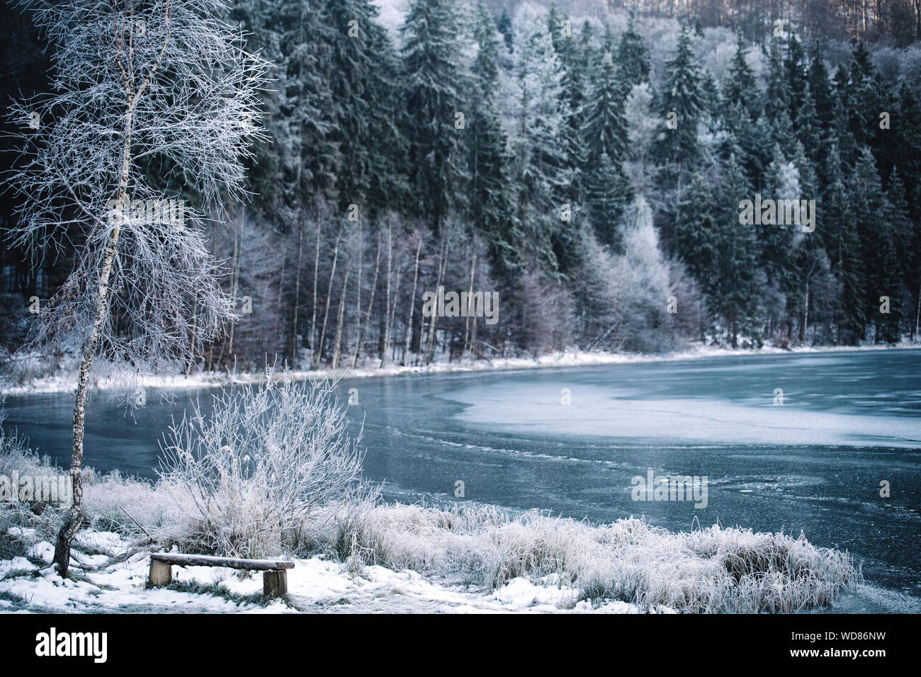 Frozen lake forest hi-res stock photography and images - Alamy