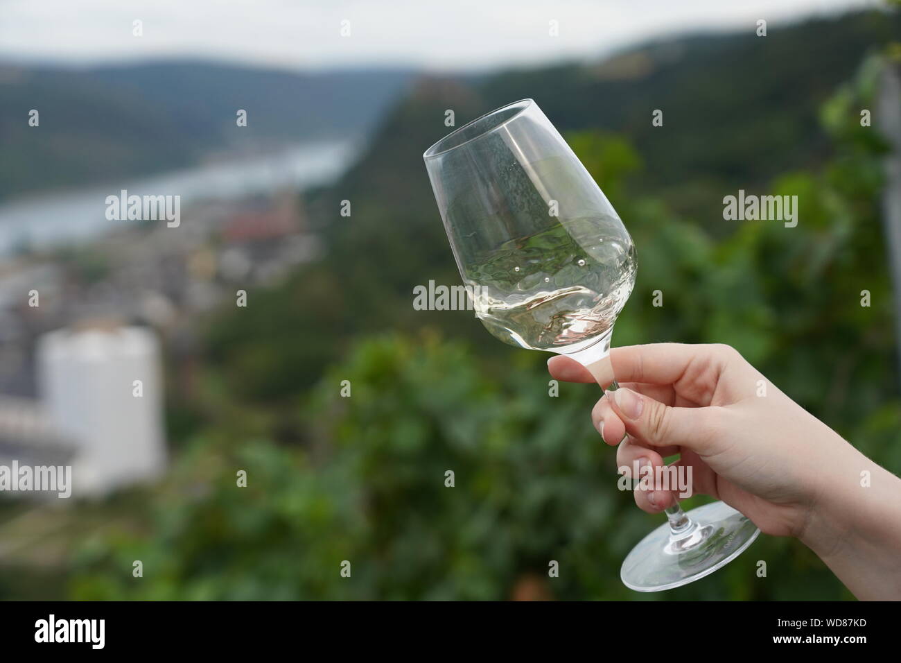 wine tasting in the vineyard, glass of wine, tasting Stock Photo - Alamy