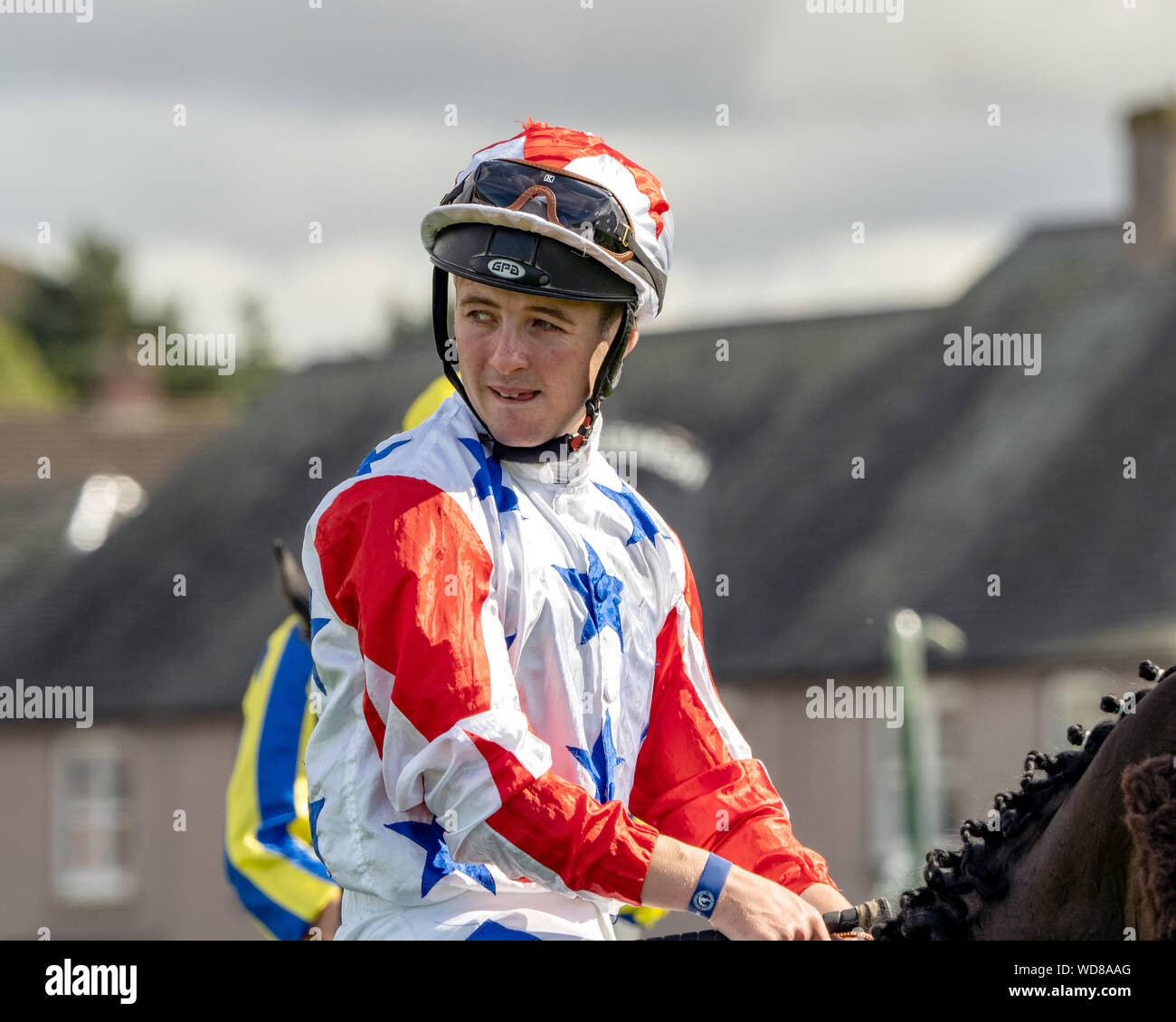 Gray race horse hi-res stock photography and images - Alamy