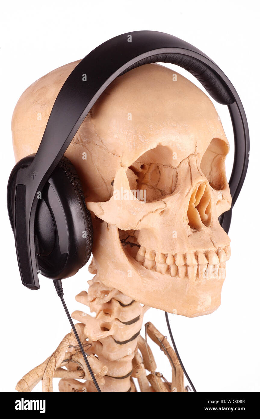 Skeleton head with earphones on Stock Photo Alamy