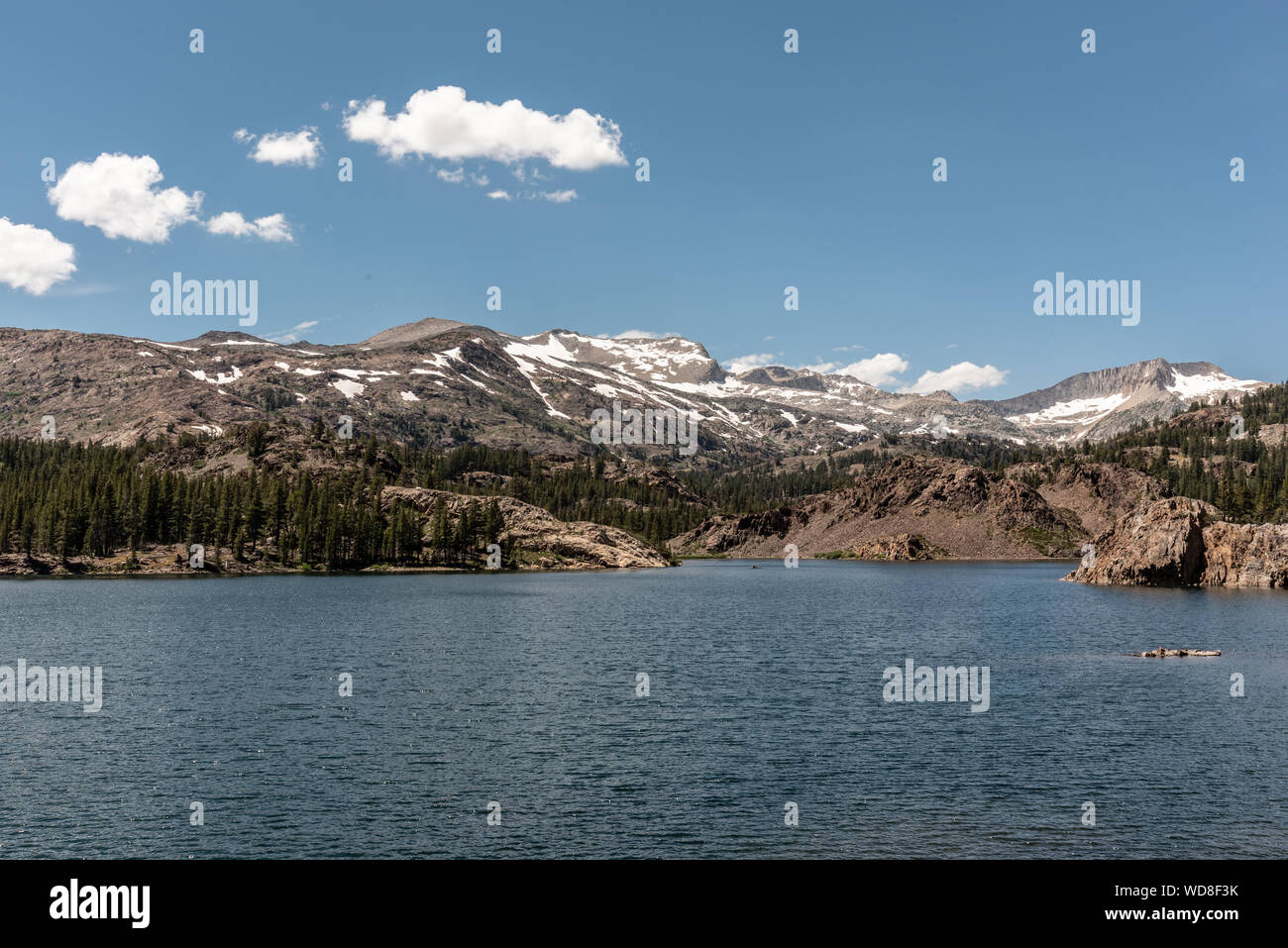 View of Ellery Lake with snow in summer Stock Photo