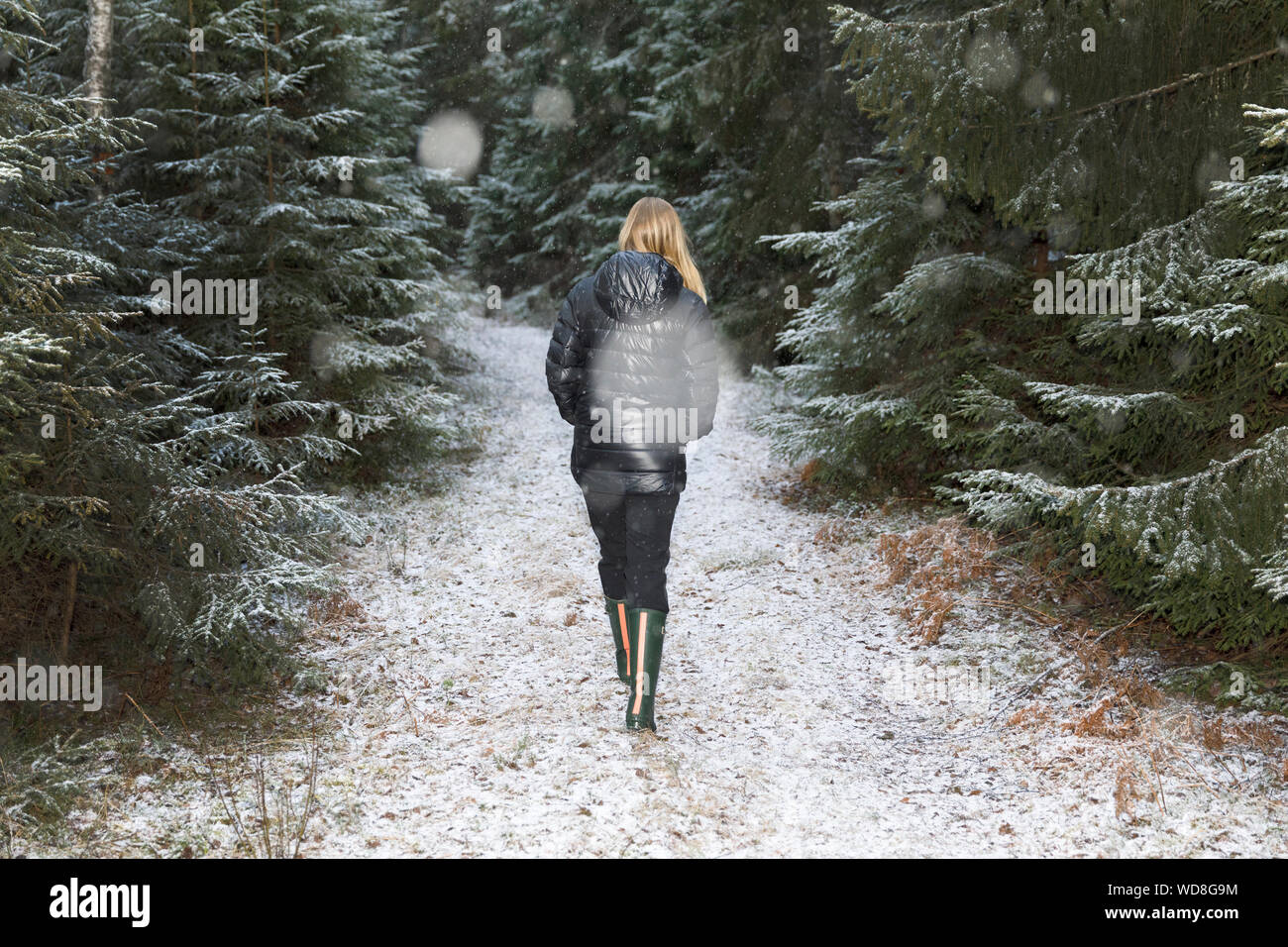Walking through snowy forest hi-res stock photography and images - Alamy
