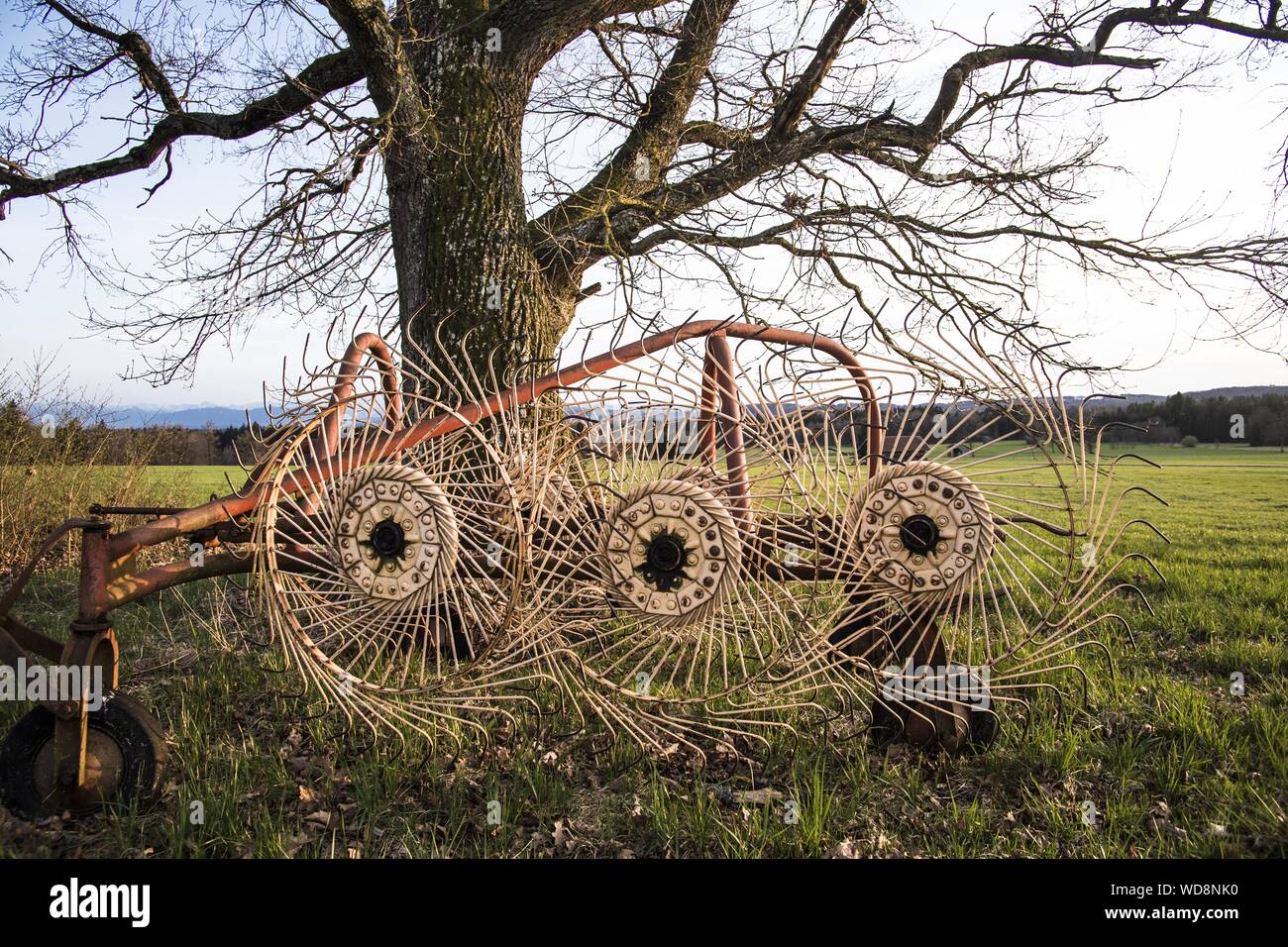 Heuwender Stock Photo