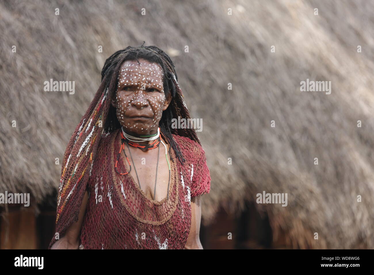 Woman With Face Paint And Dreadlocks Stock Photo