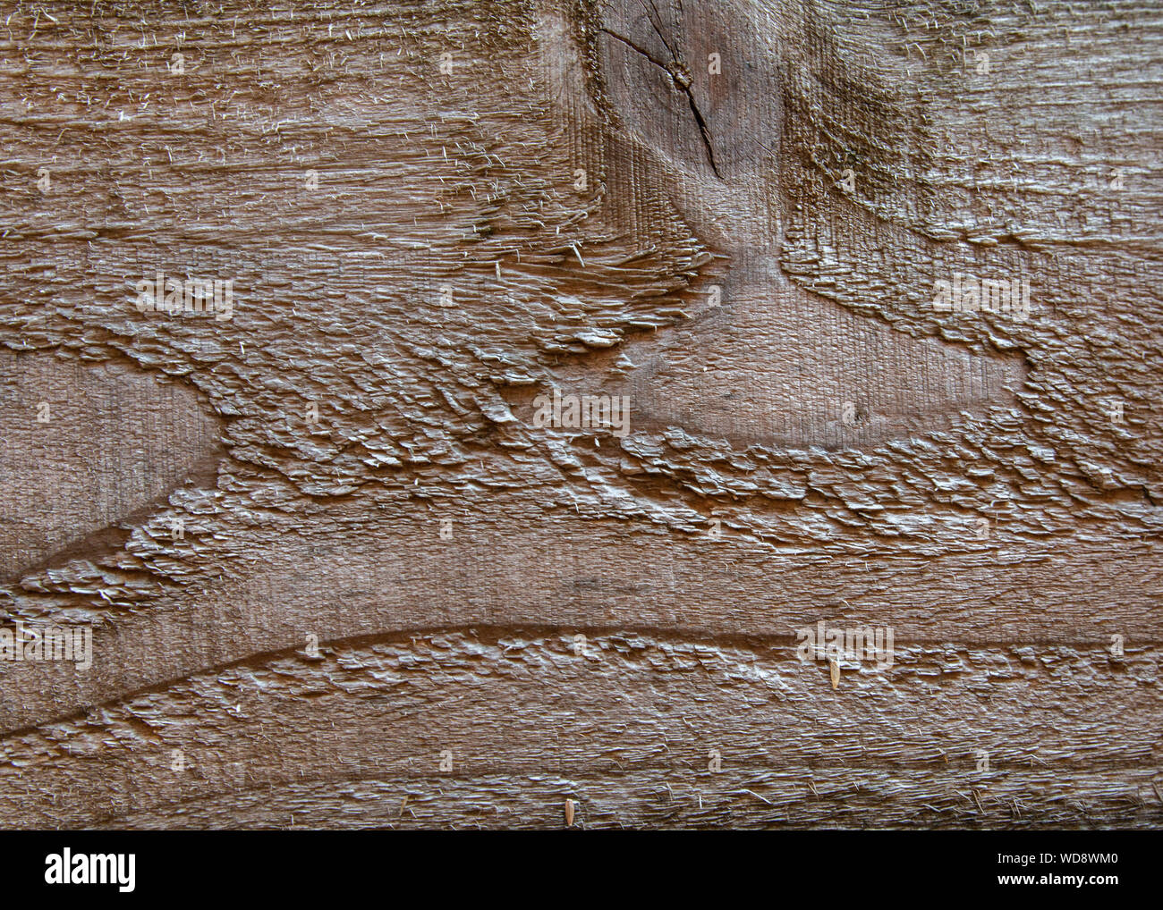 Close up of wood grain on a fence post Stock Photo