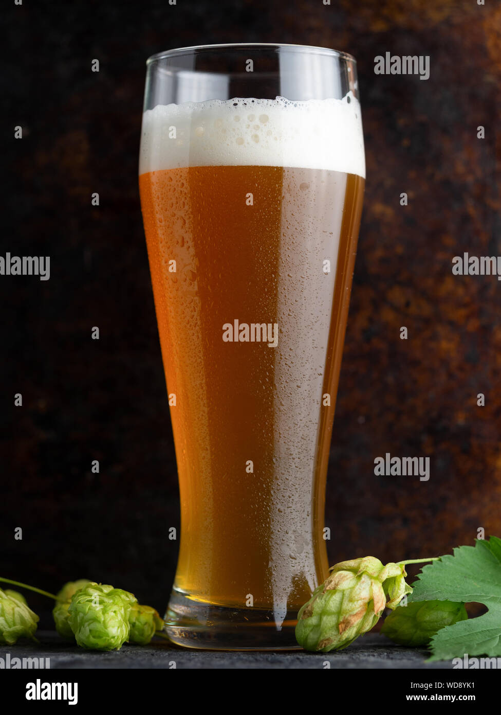 Pilsner beer glass hi-res stock photography and images - Alamy