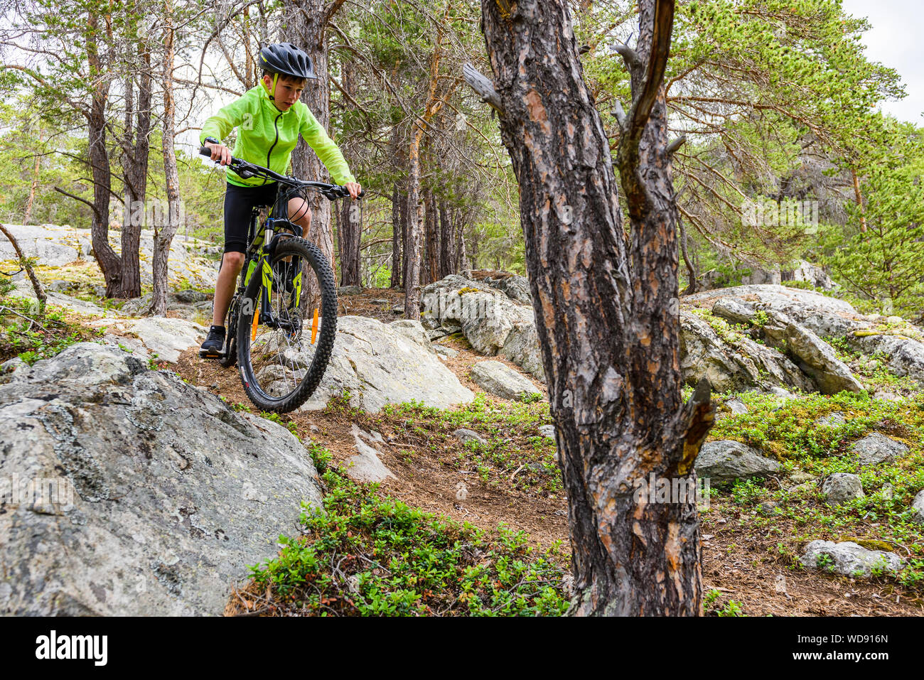 Wood mountain biking hires stock photography and images Alamy
