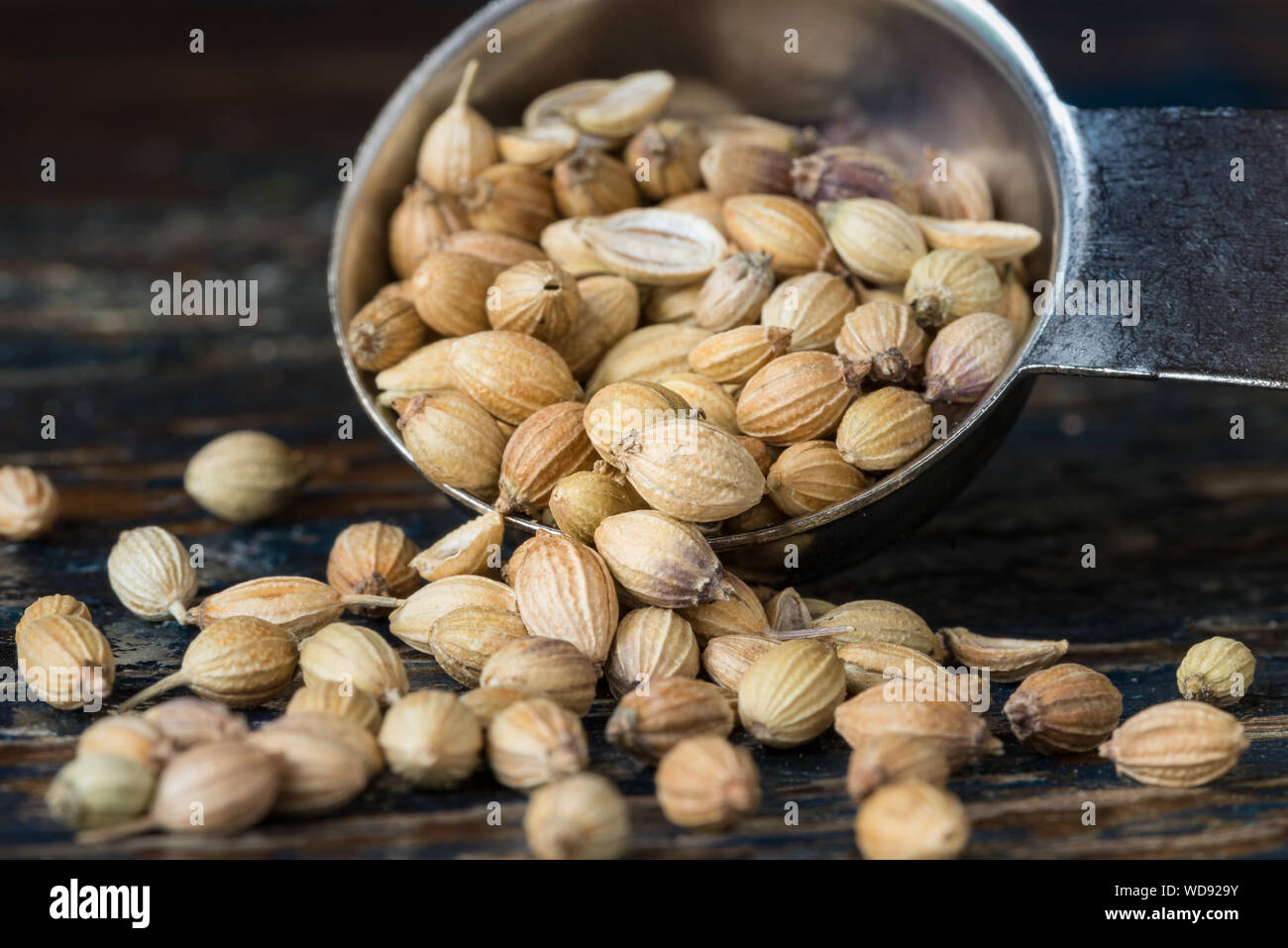 Close-up Of Coriander Seeds Spilling From Bowl Stock Photo