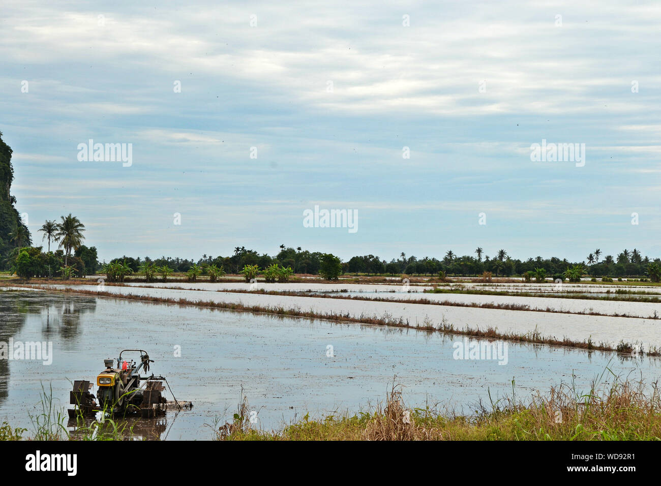 Cultivated Land Against Sky Stock Photo
