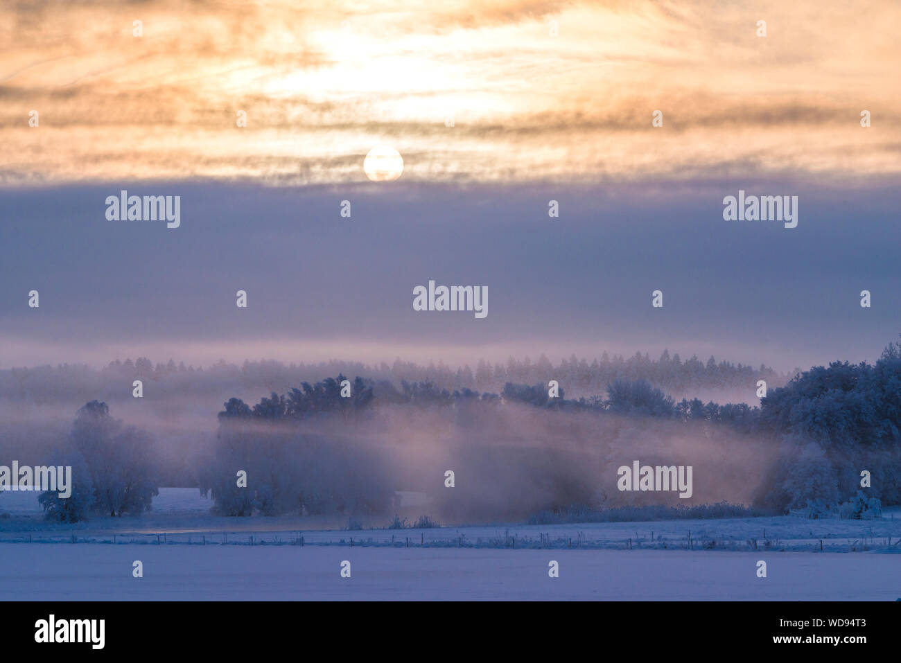 Sunbeam above foggy field Stock Photo