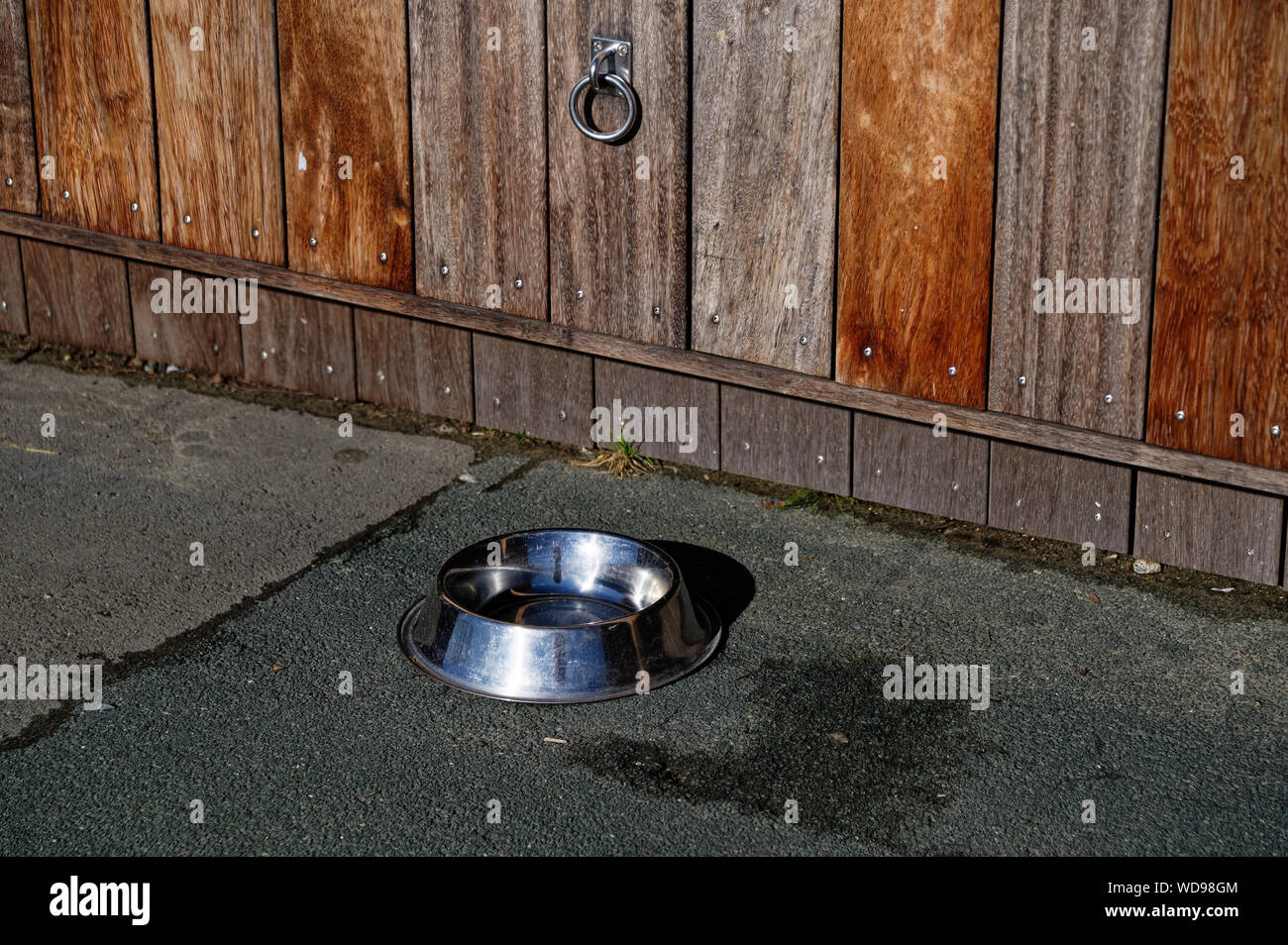 A stainless steel water bowl and tie up ring outside a restaurant Stock Photo