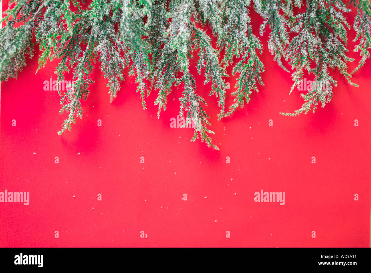 Christmas branches on a red background with glitter snow. Copyspace ...
